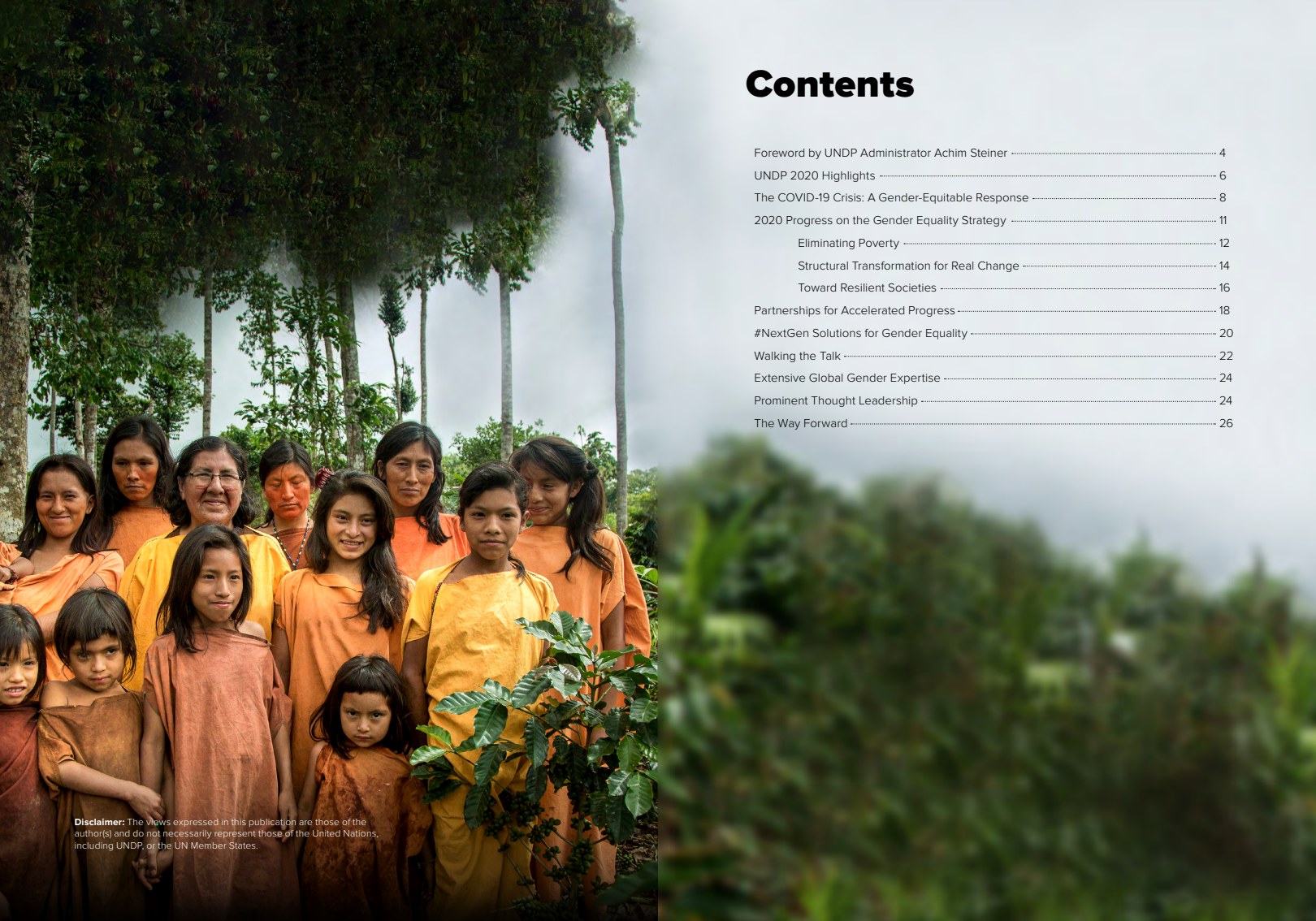 UNDP Gender Equality annual report contents spread